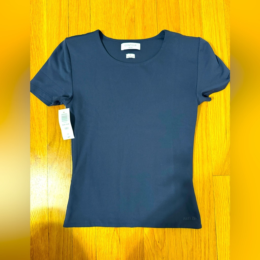 Aritzia Fitted T Shirt.